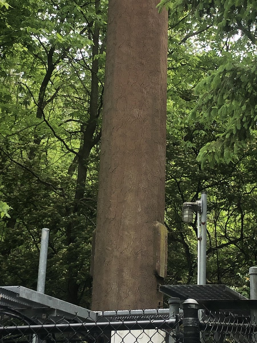 d0tslash's tweet image. Fake tree? :)