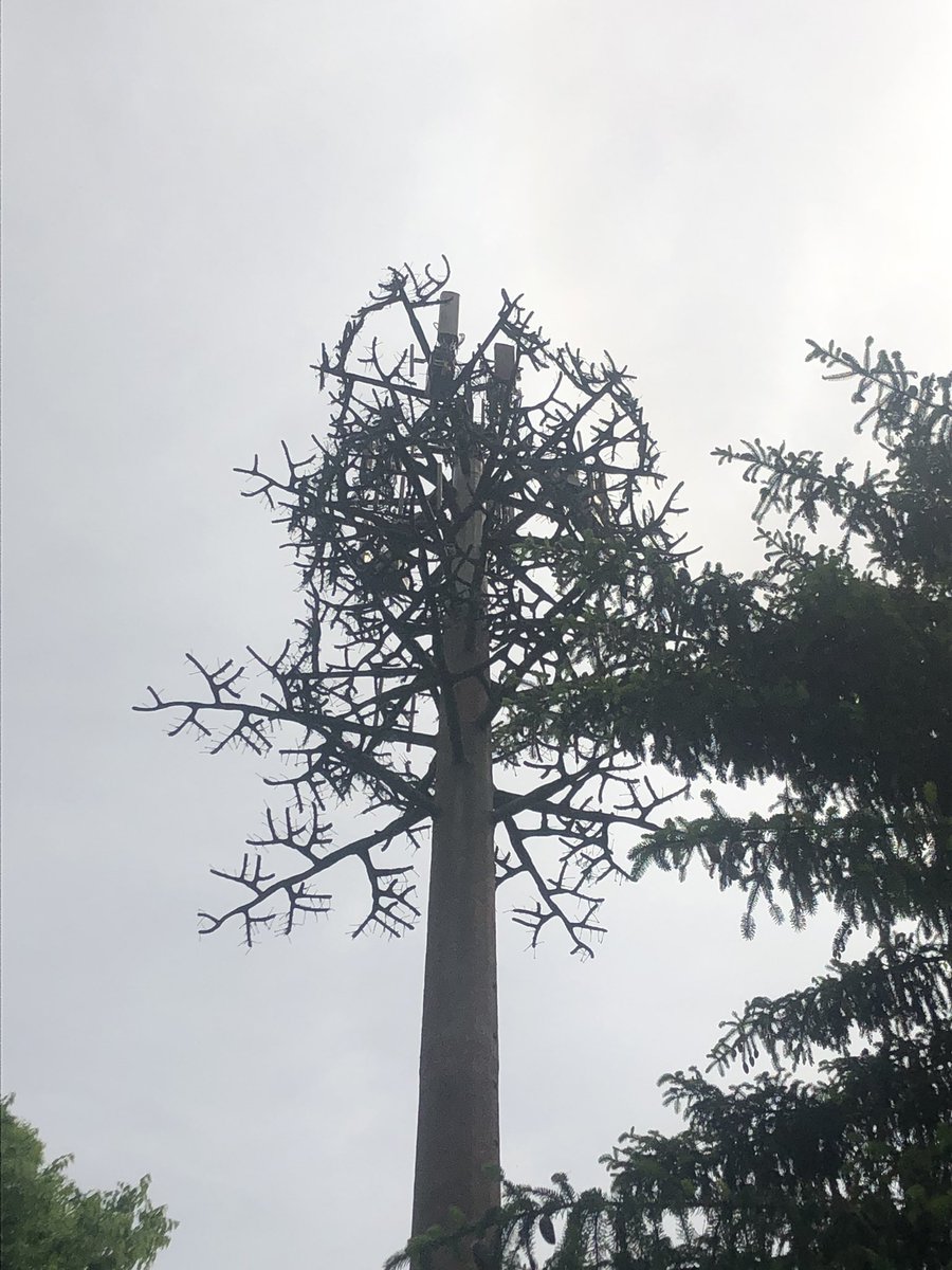 d0tslash's tweet image. Fake tree? :)