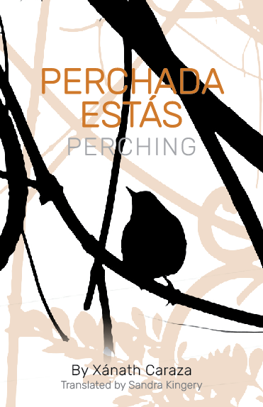 XanathCaraza's tweet photo. The proposed cover for my upcoming book. https://t.co/OswqsKeghU