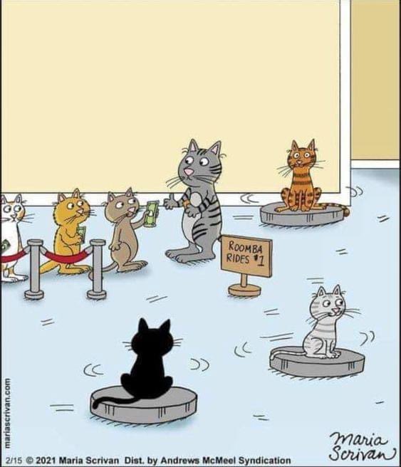 PaperclipBooks's tweet photo. It’s Caturday! Is your cat a fan of the #roomba 🤔 #roombarides #roombaridesforkitties #roombaridesherewecome 
.
#caturday #catsandbooks #paperclippublishing #cat #cats #catsofinstagram #publishing #author #writer #writersofaz #authorsofaz #book #books #booklover #bookaddict https://t.co/HT6To0sCjj
