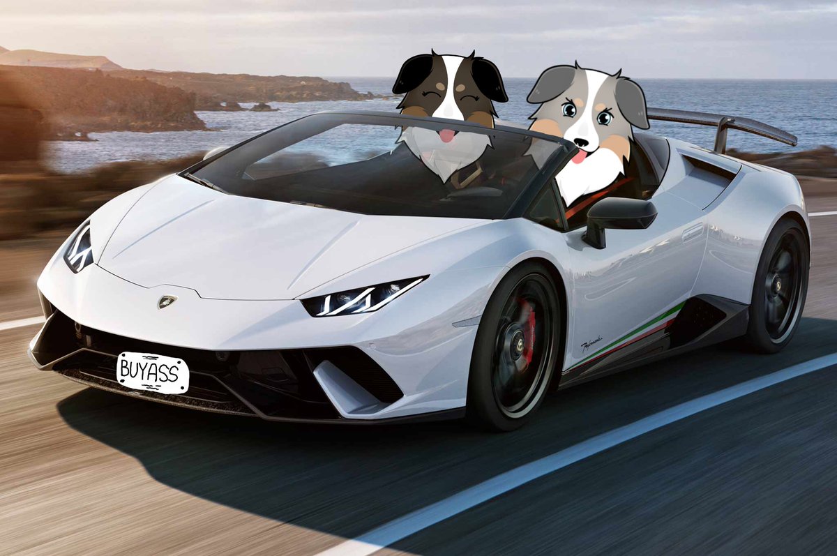assfinance's tweet photo. took my b*tch out in da whip https://t.co/elL9gUdSoj