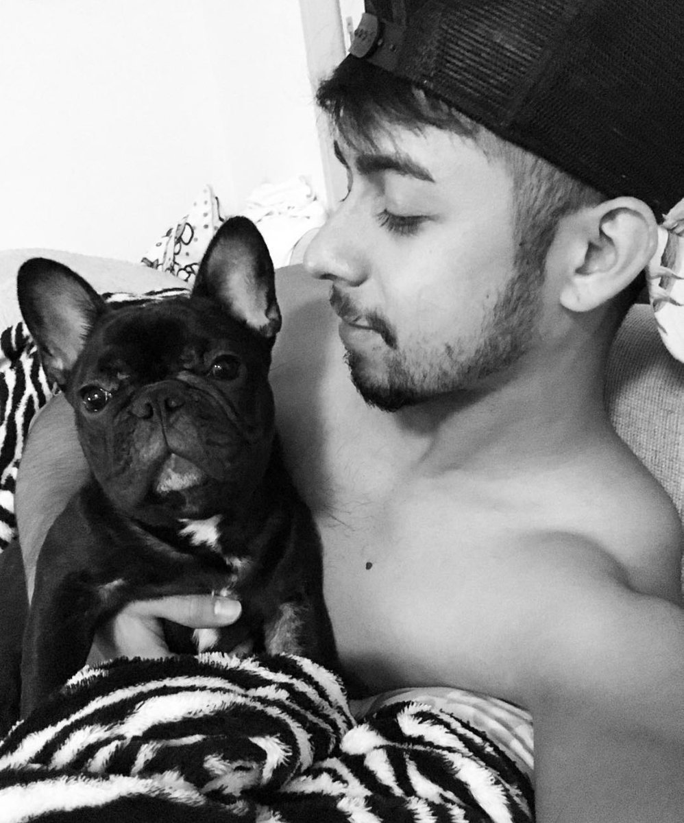 フレンチ ブルドッグ