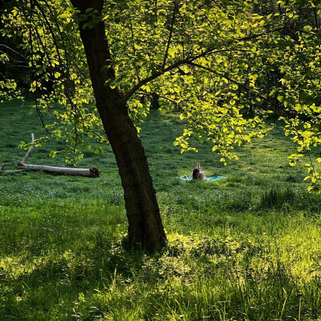 rabbitearz93's tweet photo. stranger in the park, in one of my favorite places in dc | #walkwithlocals #seenindc #chasinglight #notaswamp #dcsummer https://t.co/xIuVr83Ysp https://t.co/9lhXbEfIv7