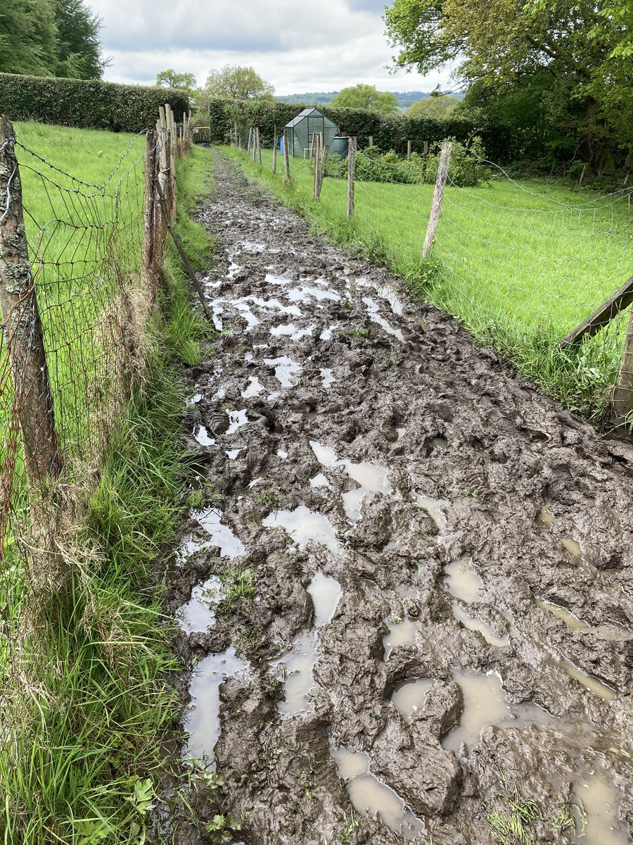 joymwhyte's tweet photo. Muddiest ultra ever. These are the paths. Still so much fun. @ultraxco #SpringTrails https://t.co/s9A8zKj80m