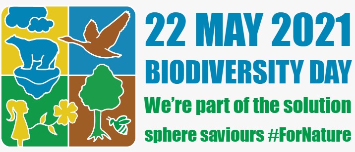 SphereSaviours's tweet photo. On the occasion of International #BiodiversityDay2021 Let's take a pledge to adopt the natural solutions while protecting the rich #diversity of our mother nature. 

#WeArePartOfTheSolution 
#nature #biodiversity #Biodiversityloss 
#BiodiversityCrisis https://t.co/9XCXatHOTy