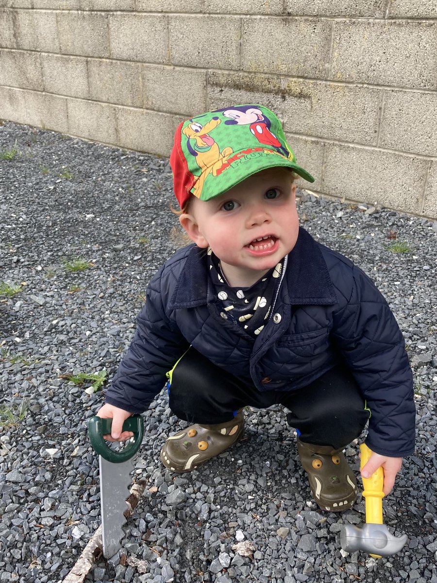 Laura Tobin tweet media