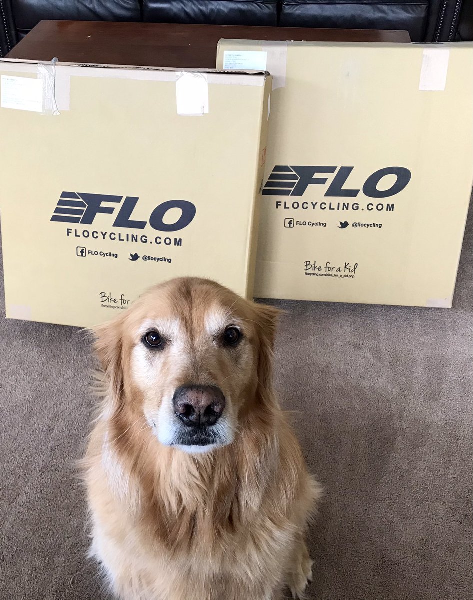 Mike Brookins 🏊‍♂️🚴‍♂️🏃‍♂️ tweet media