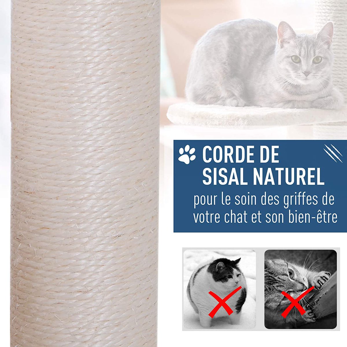 olabonplan's tweet photo. Arbre à Chat Pawhut - (66 x 47 x 120cm)

👉59,90€ au lieu de 74,90€ pour cet arbre à chat de qualité

🔎 https://t.co/5zQHEUEqEV https://t.co/1oNsX6khcx