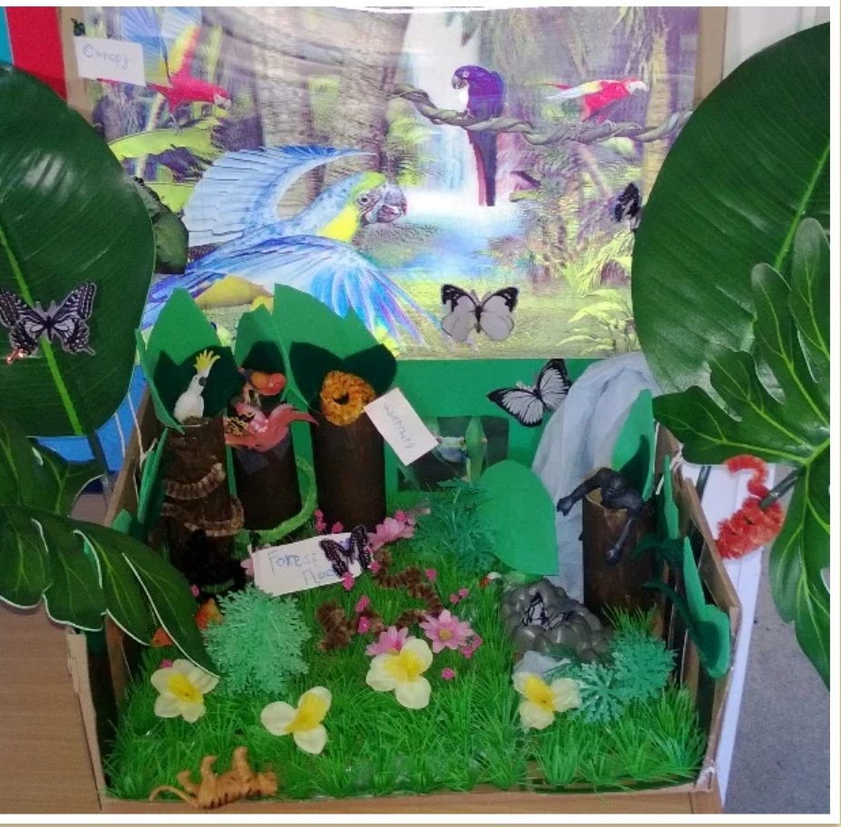 Shoeboxes needed! Parents - next Friday, 5 Fir will be making a rainforest diorama using a shoebox, pls bring in if you have any spare. If anyone else can help, we would love donations on Monday so they can be quarantined. Thank you! <a href="/CTS_Watford/">Cherry Tree Primary School</a> @MrsHillCTS <a href="/headcherrytree/">Cherry Tree Headteacher</a>
