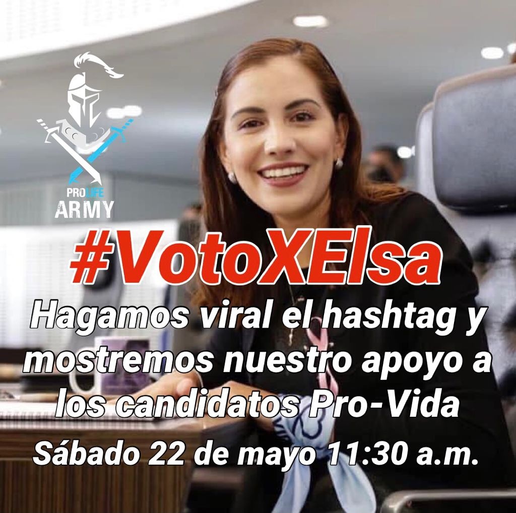 ArmyProlife's tweet photo. Prolife Army Querétaro los invita a sumarse a esta campaña.

#VotoXElsa https://t.co/0Xe8N3PCXR