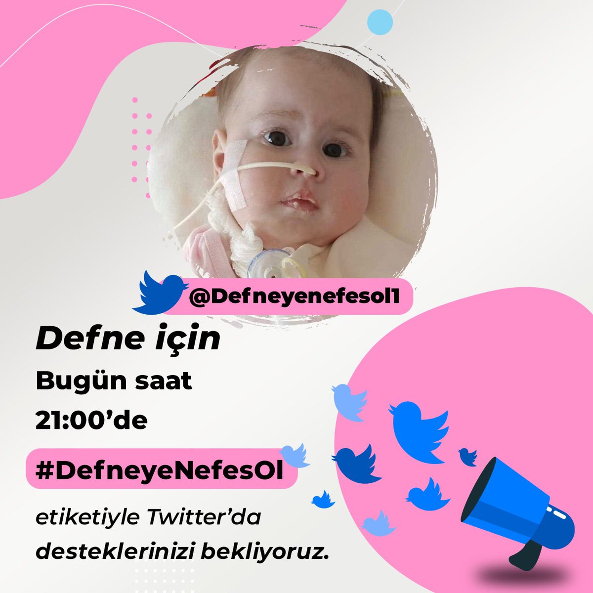 hakansemiz's tweet photo. #defneyenefesol  #sedatpeker7 #HAYVANHAKLARIYASASIHEMEN #FatihTerim #LütfüTürkkan @Defneyenefesol1 @mervezby @iremderici @EceSeckinCom https://t.co/KHDBoblKHs