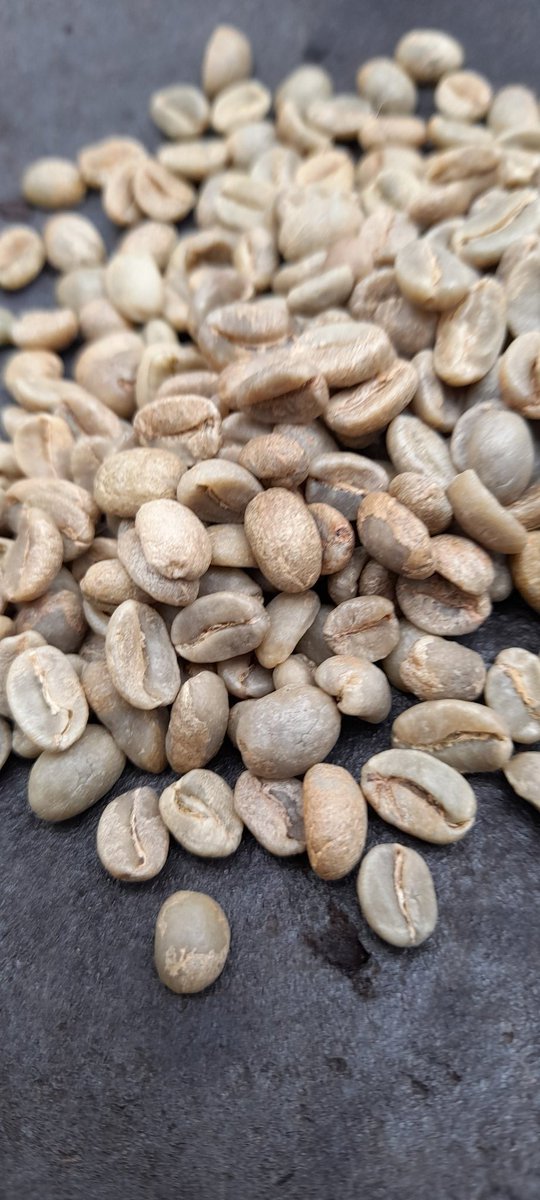 Ivycottagebaker's tweet photo. Fired up the Ethiopian Coffee roaster,the great people @penningtons_ltd let me trade some green beans & voila! #scratchandsniff 😍 just look at those roasted beans! Hand ground served fresh coffee #microbakery #notjustbread 😁 #madeincumbria https://t.co/LYVaJWbca1