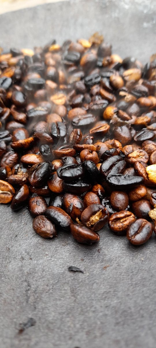 Ivycottagebaker's tweet photo. Fired up the Ethiopian Coffee roaster,the great people @penningtons_ltd let me trade some green beans & voila! #scratchandsniff 😍 just look at those roasted beans! Hand ground served fresh coffee #microbakery #notjustbread 😁 #madeincumbria https://t.co/LYVaJWbca1
