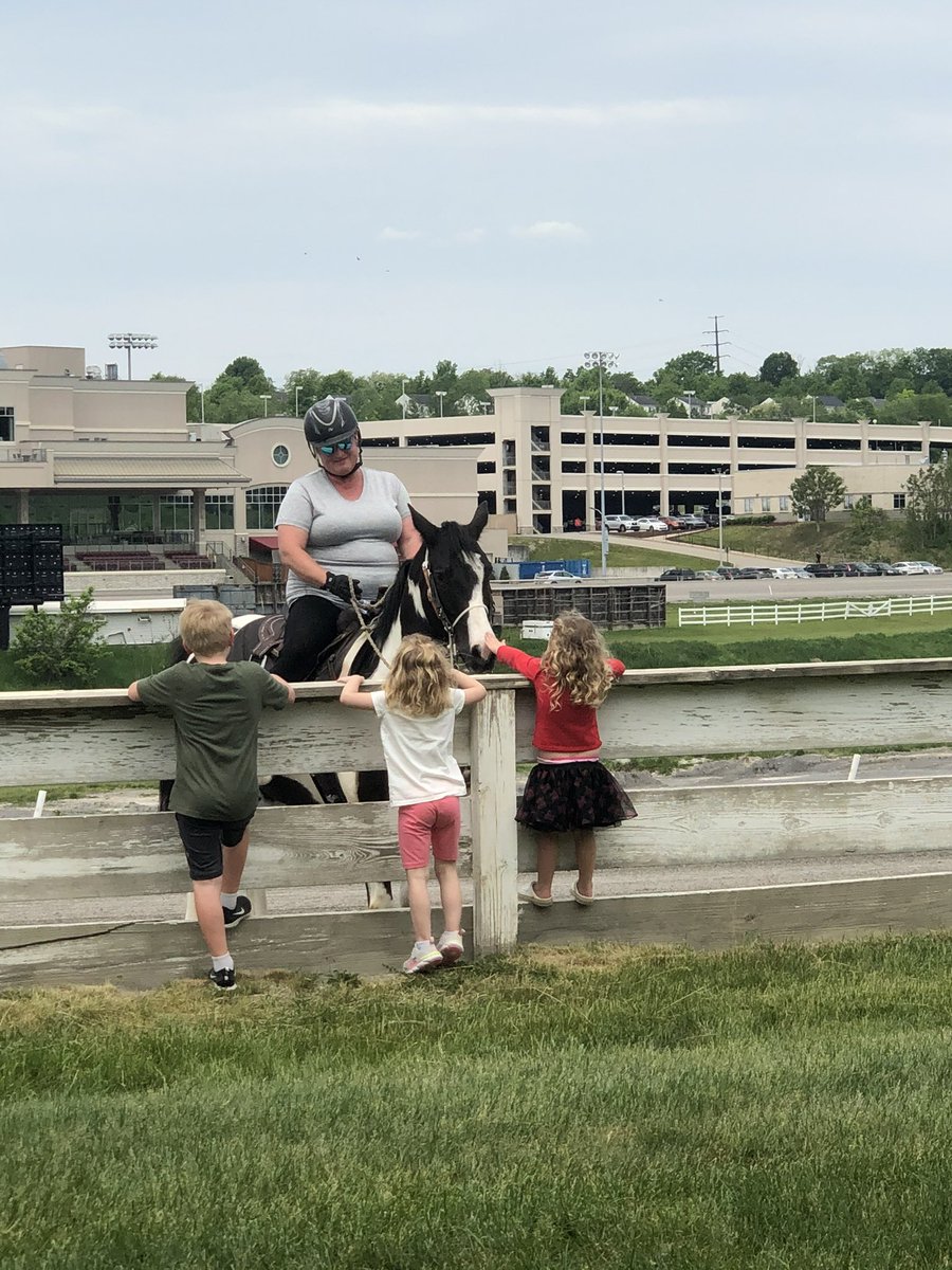 TheMSOA's tweet photo. Tiko getting some love 💕 #harnessracing #betthemeadows #horse #life #outrider #horse #paint 

📸: @DMock75 https://t.co/BBjjJfjaIl