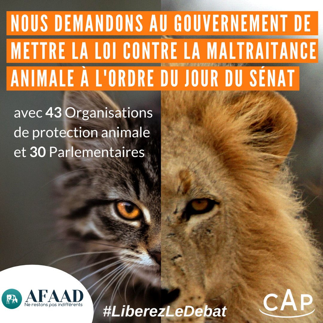 AFAAD4's tweet photo. #LiberezLeDebat : 30 #parlementaires et 43 #ONG, dont l'#AFAAD, ont répondu à l'appel de @CAPpolitique et demandent au gouvernement d'agir pour mettre la PPL contre la maltraitance animale à l'ordre du jour du #Sénat.
👉 Notre appel dans le @leJDD : https://t.co/1llSGOmsbe https://t.co/8JjFbVNBdD