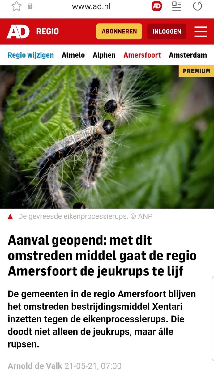 Ook dit jaar bestrijdt <a href="/Gem_Amersfoort/">Gemeente Amersfoort</a> de eikenprocessierups met Xentari, dat vrijwel alle insecten op de eikenboom doodt. 

Beter helpen we de biodiversiteit een handje. In een gezond ecosysteem houden soorten elkaar in 't gareel.
#dagvandebiodiversiteit 
destentor.nl/amersfoort/aan…