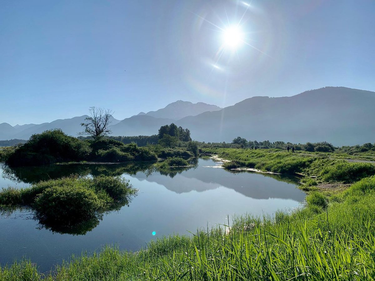 exploremamabear's tweet photo. Morning Reflections
.
.
.
#explorebc #bc #explorecanada #bcparks #landscape #landscapephotography #shotoniphone #iphonography #nature #ourplanetdaily #earthfocus #earthpix #outdoors #reflection #exploremamabear #fraservalley #vancouver #canada #sunrise https://t.co/HshKvMjE4l