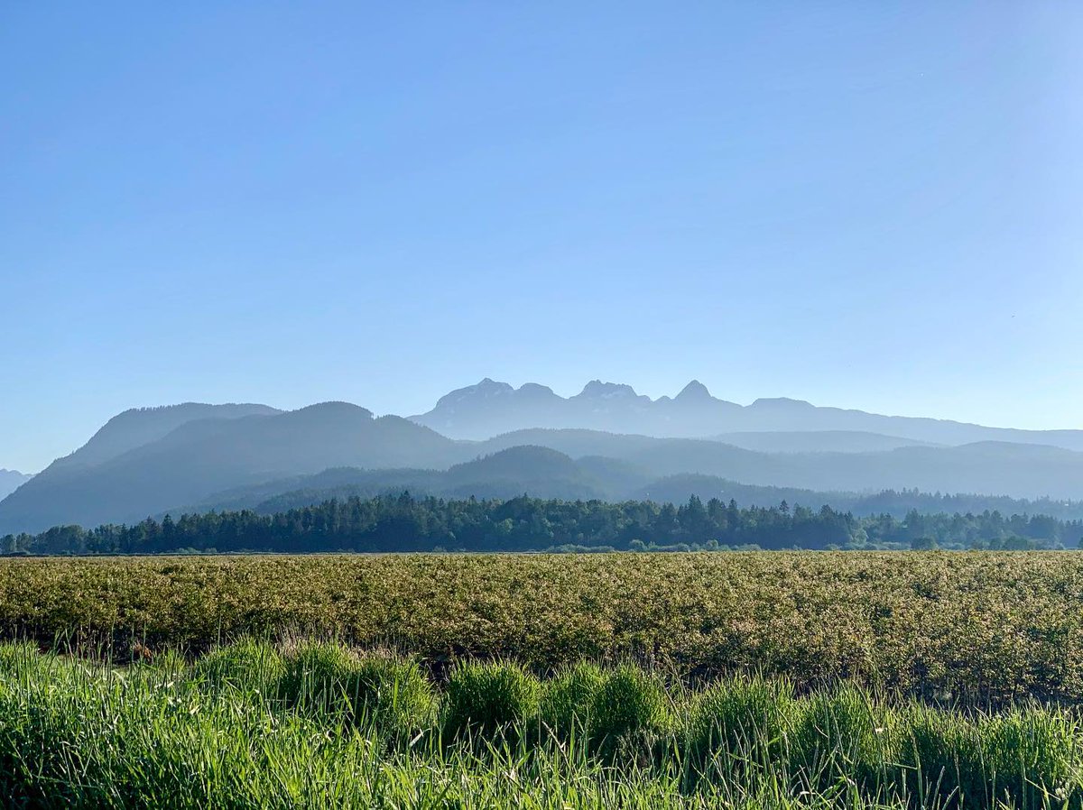 exploremamabear's tweet photo. Good morning Pitt Meadows
.
.
.
#explorebc #bc #explorecanada #bcparks #landscape #landscapephotography #shotoniphone #iphonography #nature #ourplanetdaily #earthfocus #earthpix #outdoors #reflection #exploremamabear #fraservalley #vancouver #canada #sunrise https://t.co/BYB7kH7oWi