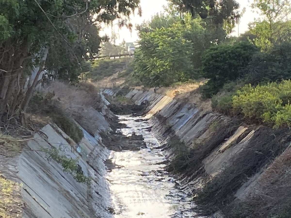 CaltransDist7's tweet photo. Protecting waterways π¦ #CaltransDist7 crews clearing vegetation from ditch at SB 605 to WB 91 near San Gabriel River in #Cerritos @SenBobArchuleta @AsmGarcia https://t.co/okkrcbT95L