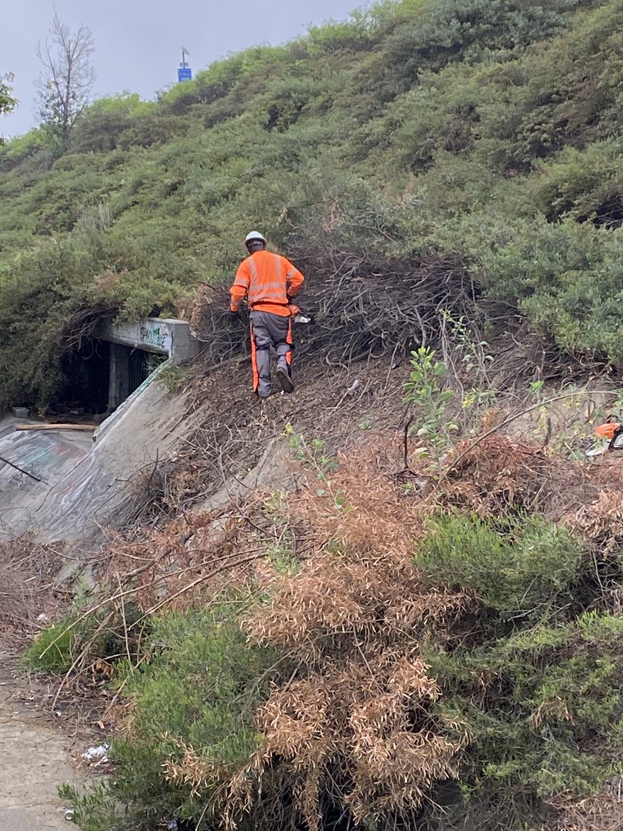 CaltransDist7's tweet photo. Protecting waterways π¦ #CaltransDist7 crews clearing vegetation from ditch at SB 605 to WB 91 near San Gabriel River in #Cerritos @SenBobArchuleta @AsmGarcia https://t.co/okkrcbT95L