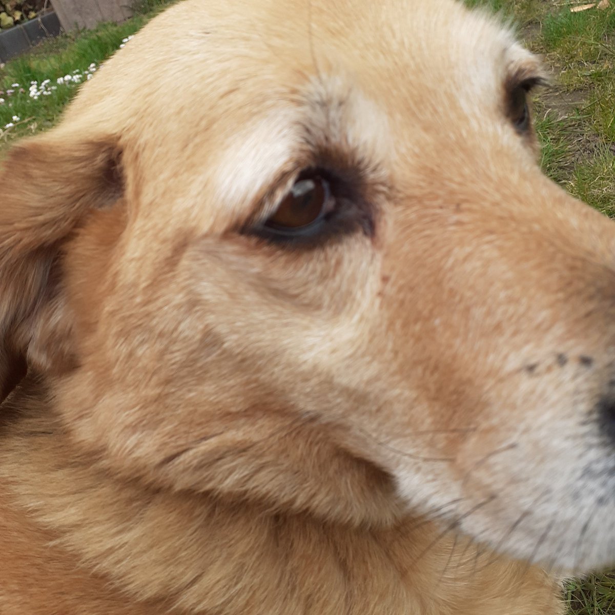 Auf mir wartet der auch schon schaut jedesmal die Haustüre an aber nix keine Mone kommt raus...