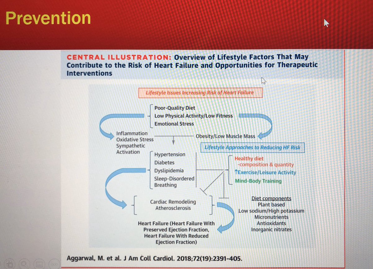 Stephanie Saucier MD, FACC tweet media