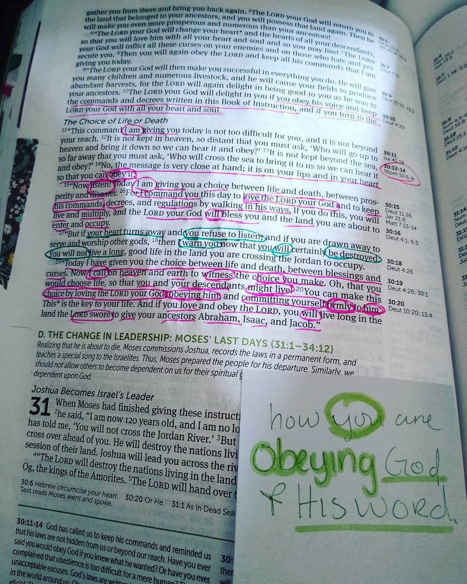 NLTverse's tweet image. (📷: bible.pray.2019)

Pictured is the Life Application Study Bible. Learn more about this Bible l8r.it/aHNa

#NLTBible #LifeApplicationStudyBible #Biblestudy #studyBible #Biblestudies