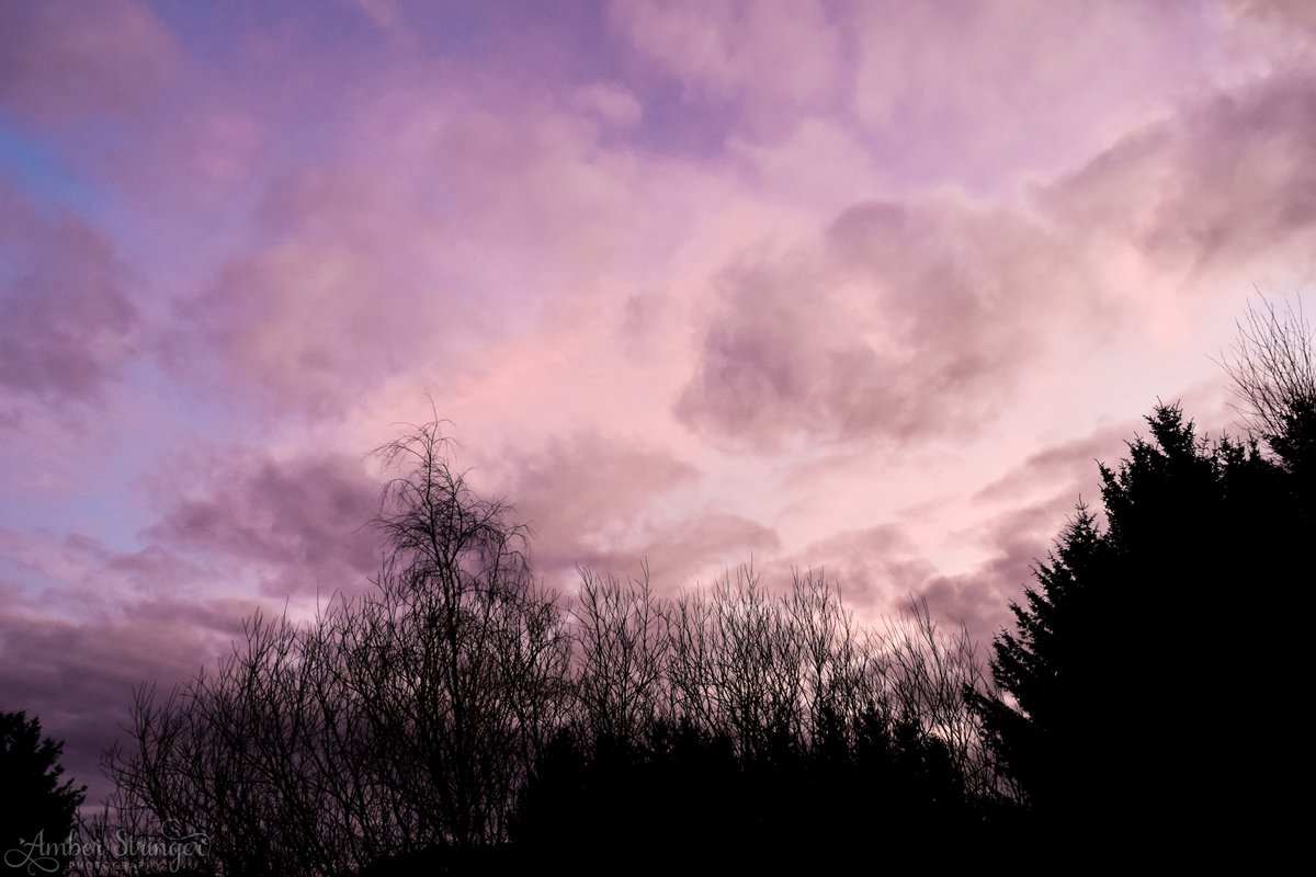 AmberPStringer's tweet photo. ~ Nefelibata ~
(n.) lit. “Cloud-walker”; one who lives in the clouds of their own imagination or in dreams.
.
.
#cloudcore #cloudphotography #nefelibata #photography #TwitterNatureCommunity #NaturePhotography #nikonphotography https://t.co/z0Jaq5a1RQ
