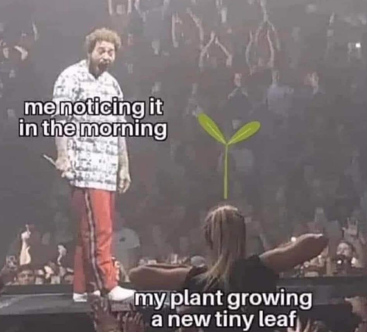 MensHumor's tweet photo. I only ever notice my plants after they’re dead https://t.co/gYiLY21gee