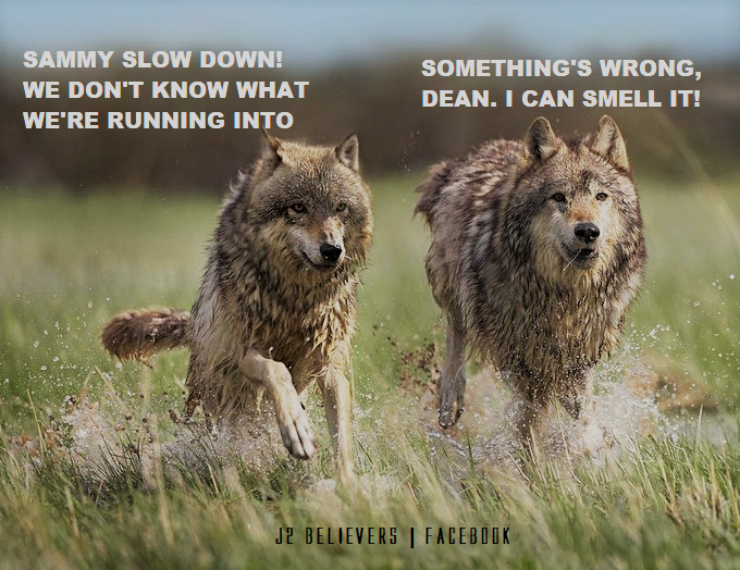 Jessie_Cristo's tweet photo. #protectiveDean So worried about his mate.
#Wincest #ABO 
disclaimer: I only added the text. I do not own the photo. Shout to my girl, @cyncitymojo for the find. https://t.co/PDcdDyAxpz