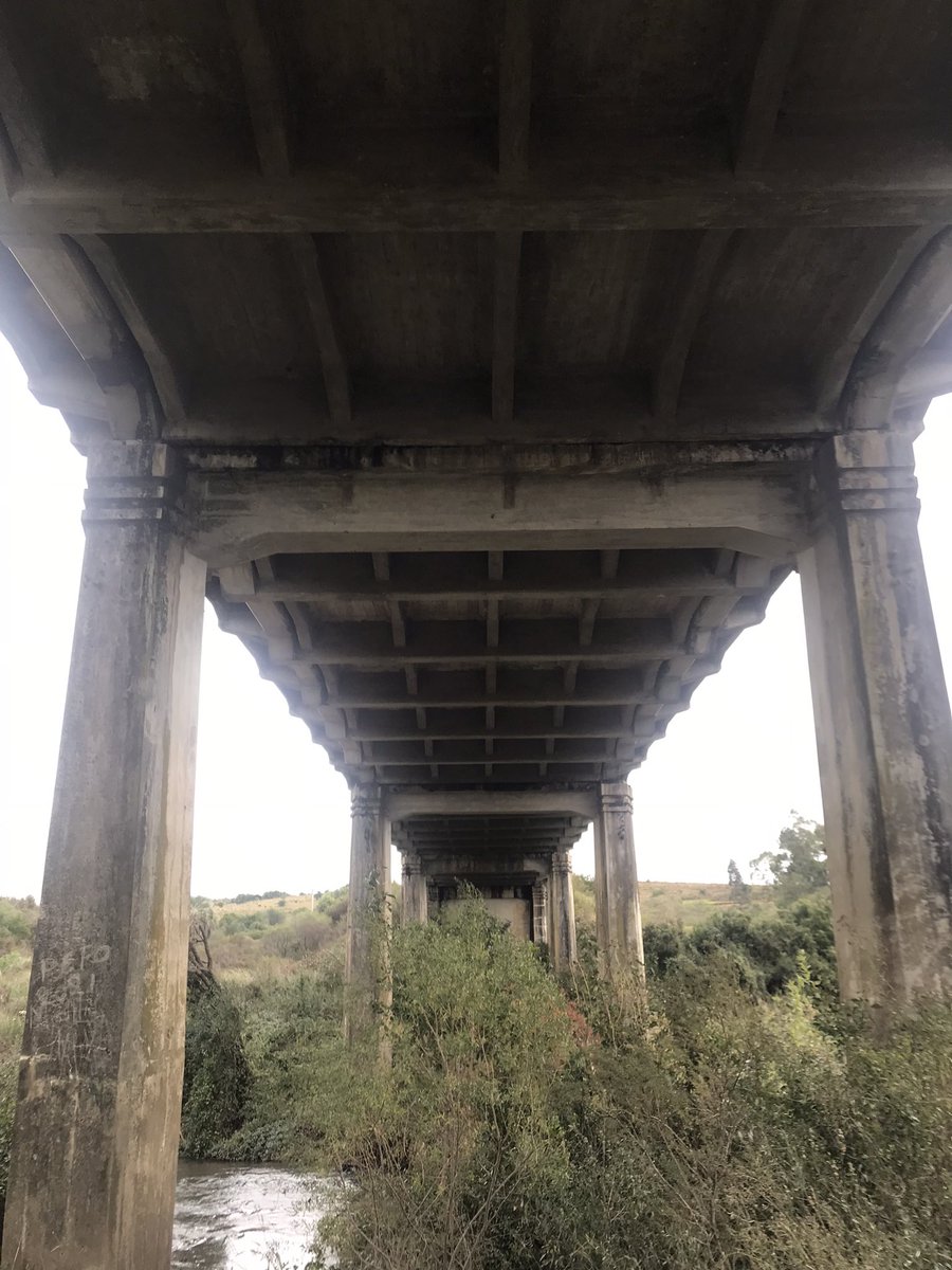 PabloCollazo4's tweet photo. Mañana de recorrida por nuestros Puentes (Melo-TyTres).@mtopuy @sergiobotana @Luisaheber https://t.co/bnYoXsN24v
