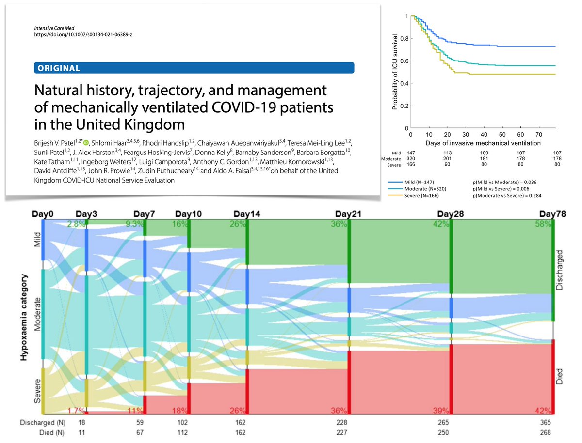 Questions for <a href="/doctorbrijpatel/">THE Dr Patel</a> <a href="/CovidIcu/">COVID ICU</a> about #COVID19 treatment in 🇬🇧ICUs? write here! paper featured in #LIVESC19 <a href="/yourICM/">Intensive Care Medicine</a> journal club
rdcu.be/ckGpX
#DataScience <a href="/FaisalLab/">FaisalLab</a> @analogaldo <a href="/HaarShlomi/">Shlomi Haar</a> <a href="/rhodhandslip/">Rhodri Handslip</a> <a href="/K1ll3R_P/">Chaiyawan</a> <a href="/alexharston/">Alex Harston</a>
<a href="/FeargusHJ/">Feargus Hosking-Jervis</a> <a href="/JohnProwle/">John Prowle</a> <a href="/Zudin_P/">Zudin</a>
