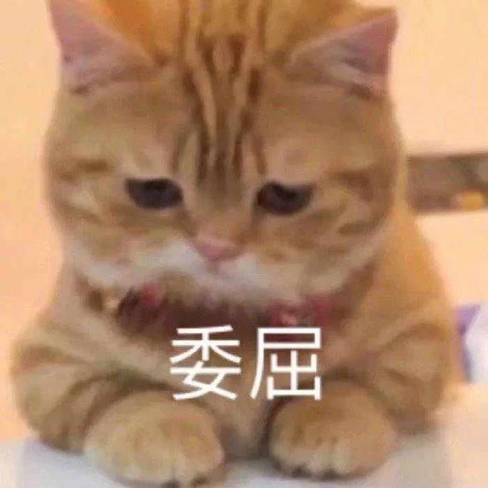cookieeeeest's tweet photo. 啥时候可以再和你说话嘛…… https://t.co/krsG8vFdY4