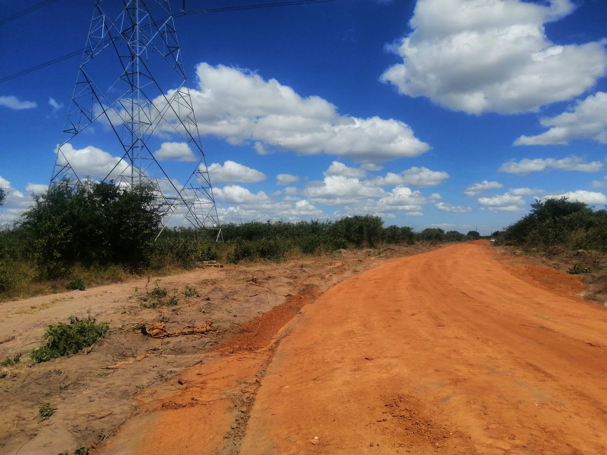 BoxerShadow's tweet image. 