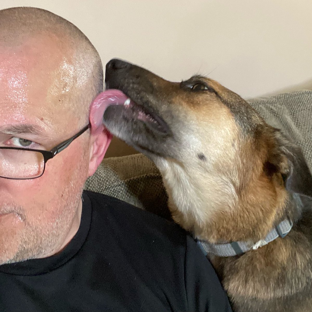 rdennisjr's tweet photo. Apparently Juneau is a big fan of dad being a salt lick after mowing....#dogownerproblems #hatehumidity https://t.co/Ao5Oudo0Ah