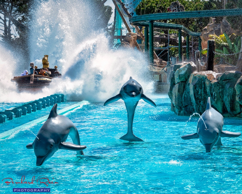 bernhardrein's tweet photo. Nein, nicht #Karibik, sondern da, wo die #Delphine mit den #Booten um die #Wette schwimmen 😁😁
#bernhardrein #bernhard_rein #europapark #youropark #work #photographer #rollercoaster #themepark #atlantica https://t.co/R8UBX69DxD