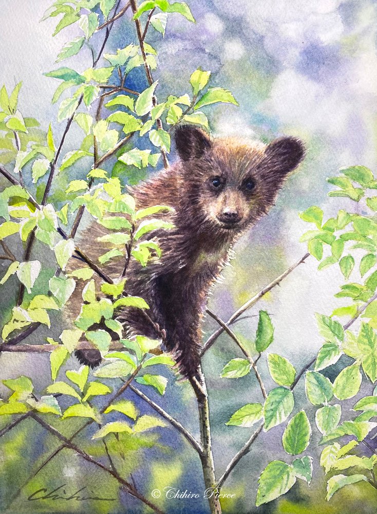 動物の絵 動物の絵