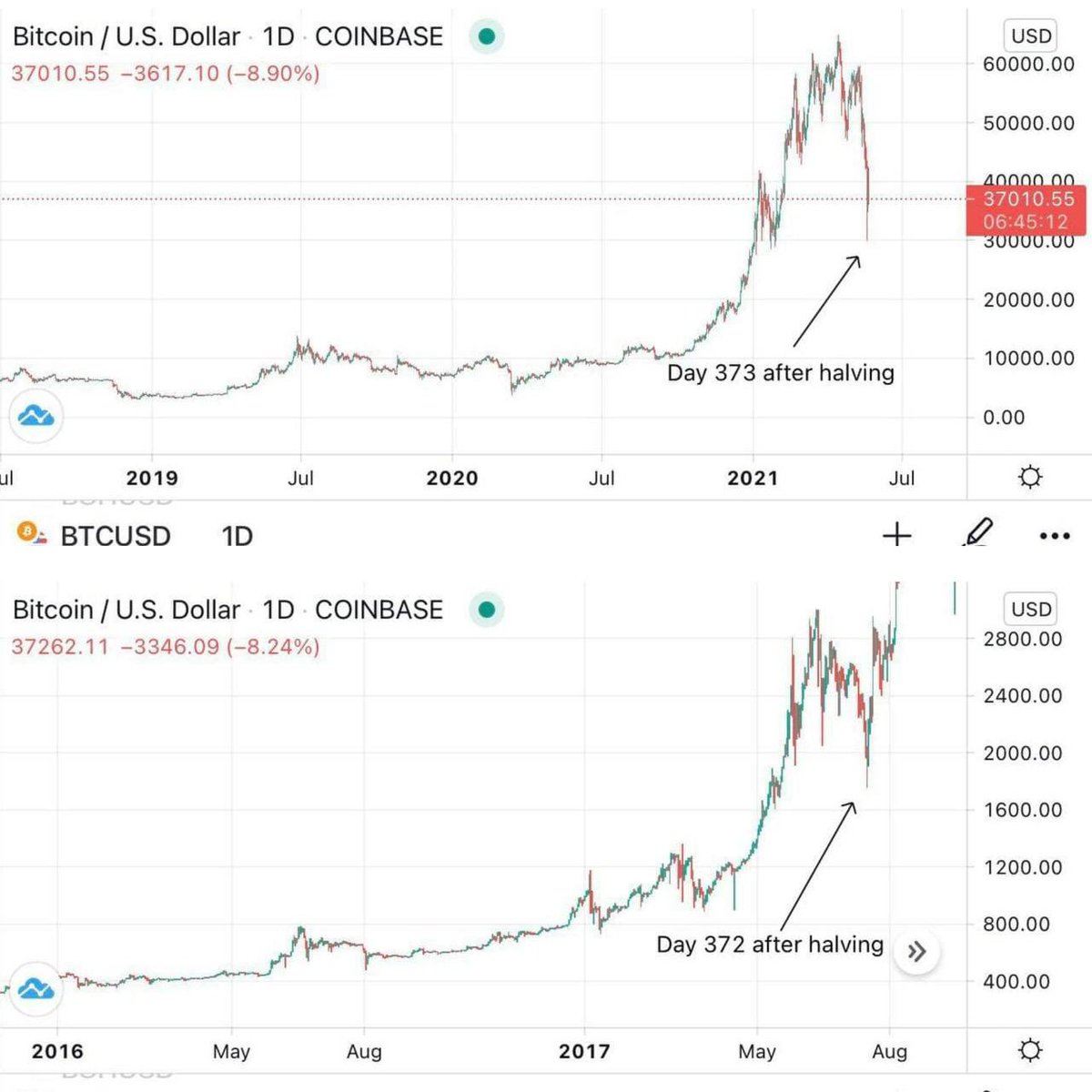 Amir Capital tweet media