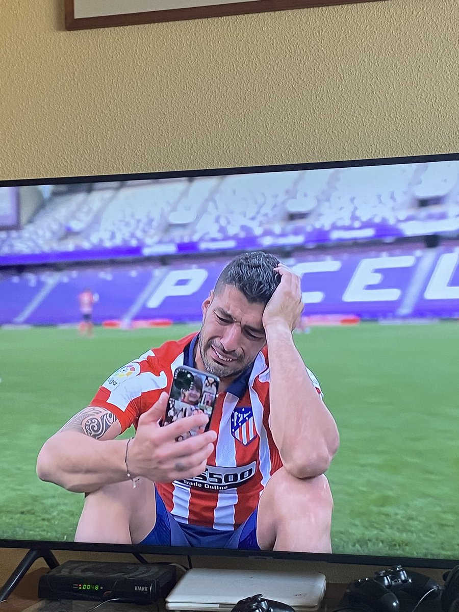 yo viendo mis notas este curso