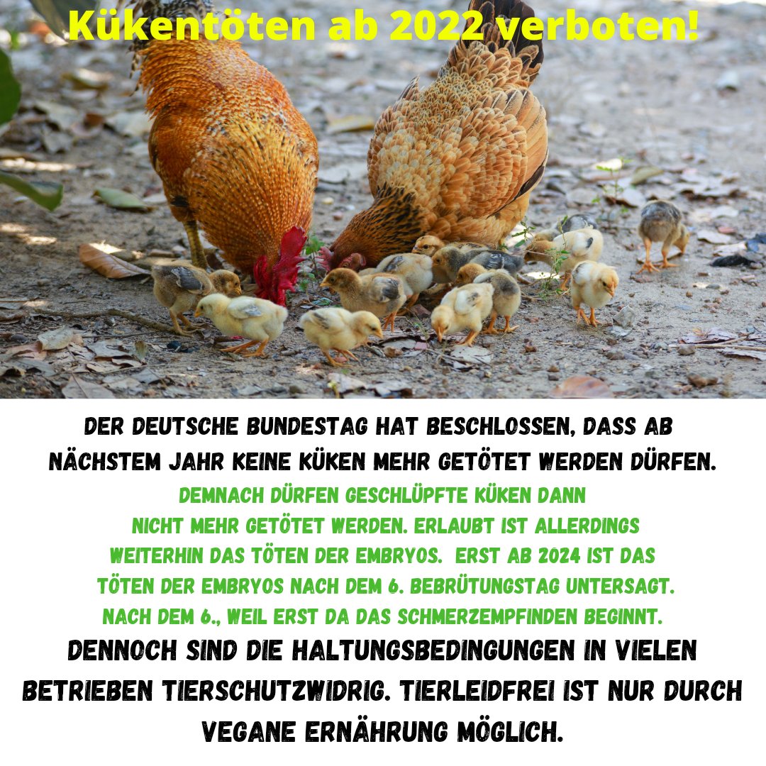 _GUTuN_'s tweet photo. Ein Schritt in die richtige Richtung. #kuekentoeten https://t.co/cZYlmagfNN
