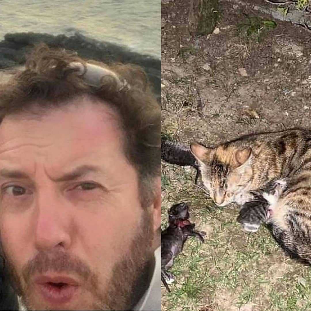 can__patim's tweet photo. Bahçeşehir 1.kısım.
"KARIMI KORKUTUYORLAR, onun için ÖLDÜRÜYORUM " Yeni doğum yapmış kedinin 1günlük yavrularını KÜREKLE Vurarak öldürdü !
Anne kediyi öldürecekken çevredekler yetişip almış 
Yavrular ÖLDÜ.
Ispartakule ve Bahçeşehir de26.sokak fırın&amp;cafe ve @ponçikpartievi sahibi https://t.co/8cPyHvuYSL