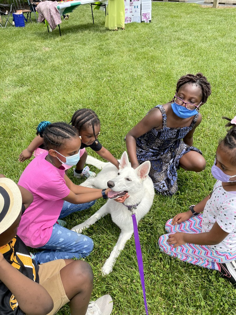 Nikki Harrison tweet media