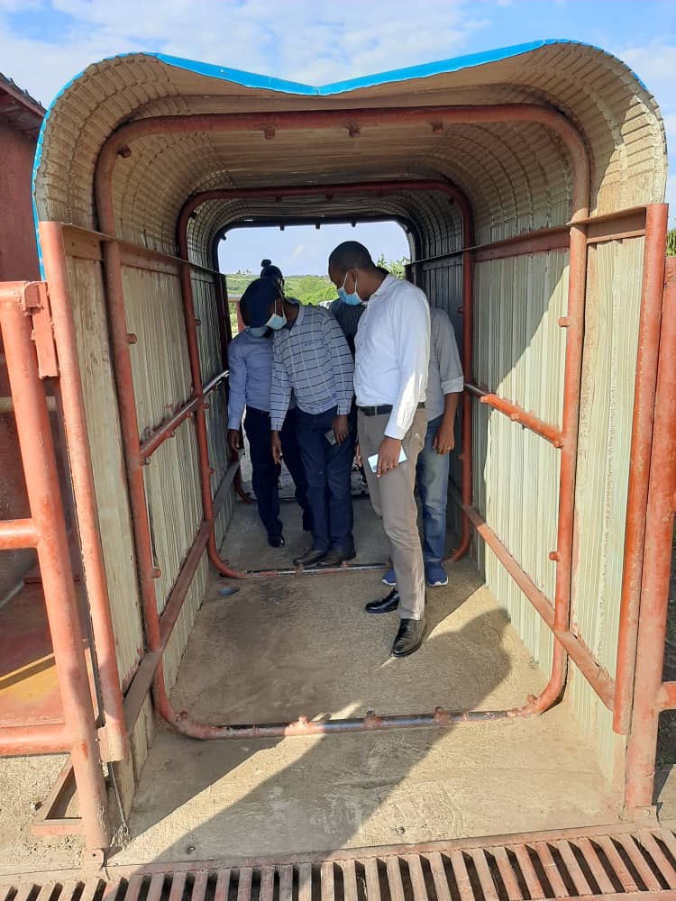 MRugamba's tweet photo. He also visited @SPIU_IFADRwanda supported infrastructures (MCC, Borehole, Spray race and Maize processing plant). Based on the data of #NDFU milk continue to increase since RDDP started. @RwandaAgri @RwandaAgriBoard @SPIU_IFADRwanda @NyagatareDistr https://t.co/lzW7jGSOJX
