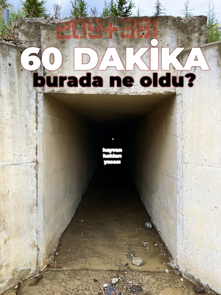 <a href="/atadogann/">Ataberk Doğan</a> #HayvanHaklarıYasasıHemen Senden, senin üslubunla bir hikaye bekliyoruz. Lütfen bizi kırma. Bir anne 60 DAKİKA boyunca bir kanalda bir insanla ne yaptı? Cevabını arıyoruz.