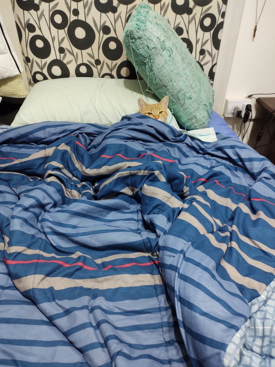 "Apaga la luz che boludo que estoy durmiendo la siesta"