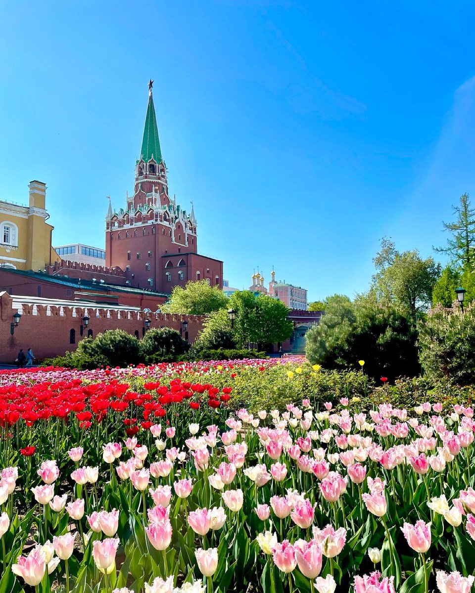 EToursRussia's tweet photo. Feel the spirit of spring in Moscow 

#Moscow #spring https://t.co/6eoE5Hrfz6