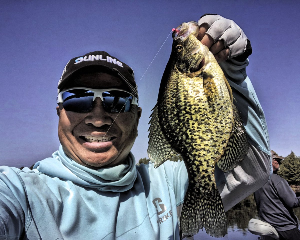 FishHardDave's tweet photo. Crappie time on the water! Love these beautiful panfish! #CrappieFishing #PanfishFun #GuruTackke #Sunline #VigorEyewear #StrikerBrands https://t.co/jjafrd03kS