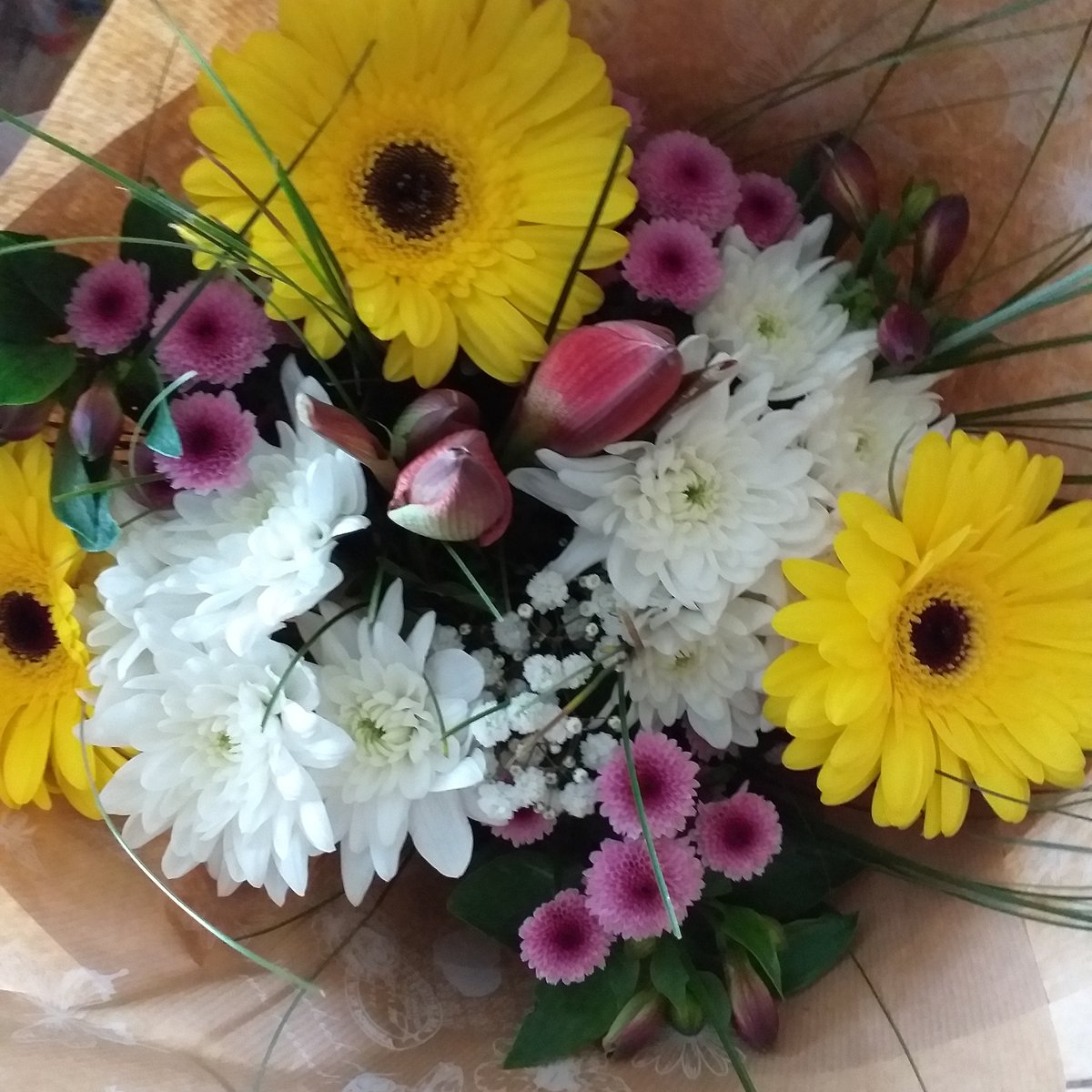 GChahuneau's tweet photo. Un beau bouquet pour ce samedi pluvieux. 
Parce qu'on a toujours besoin d'un peu de gaieté et de couleurs, je me suis offert ce superbe bouquet ensoleillé à défaut d'avoir du vrai soleil dehors 😇

Bonne soirée 🥰 https://t.co/gGgSprFuyc