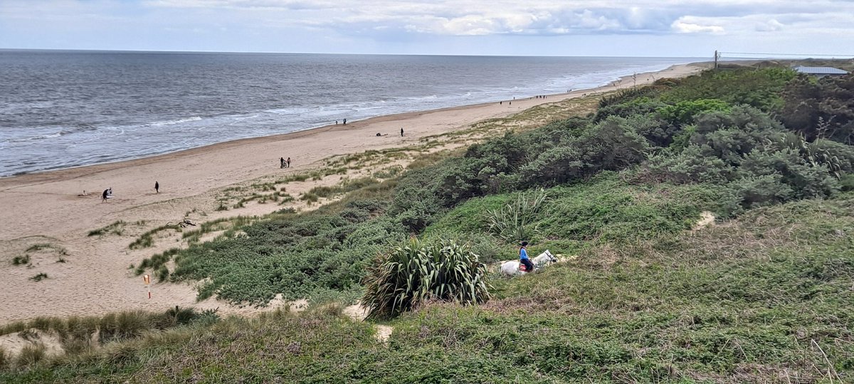 LoveGorey (@love_gorey) on Twitter photo 