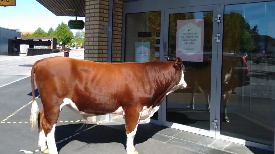 pls just let me in <a href="/DriiftLive/">Driift Live</a> <a href="/coldplay/">Coldplay</a> <a href="/glastonbury/">Glastonbury Festival</a> #LiveAtWorthyFarm